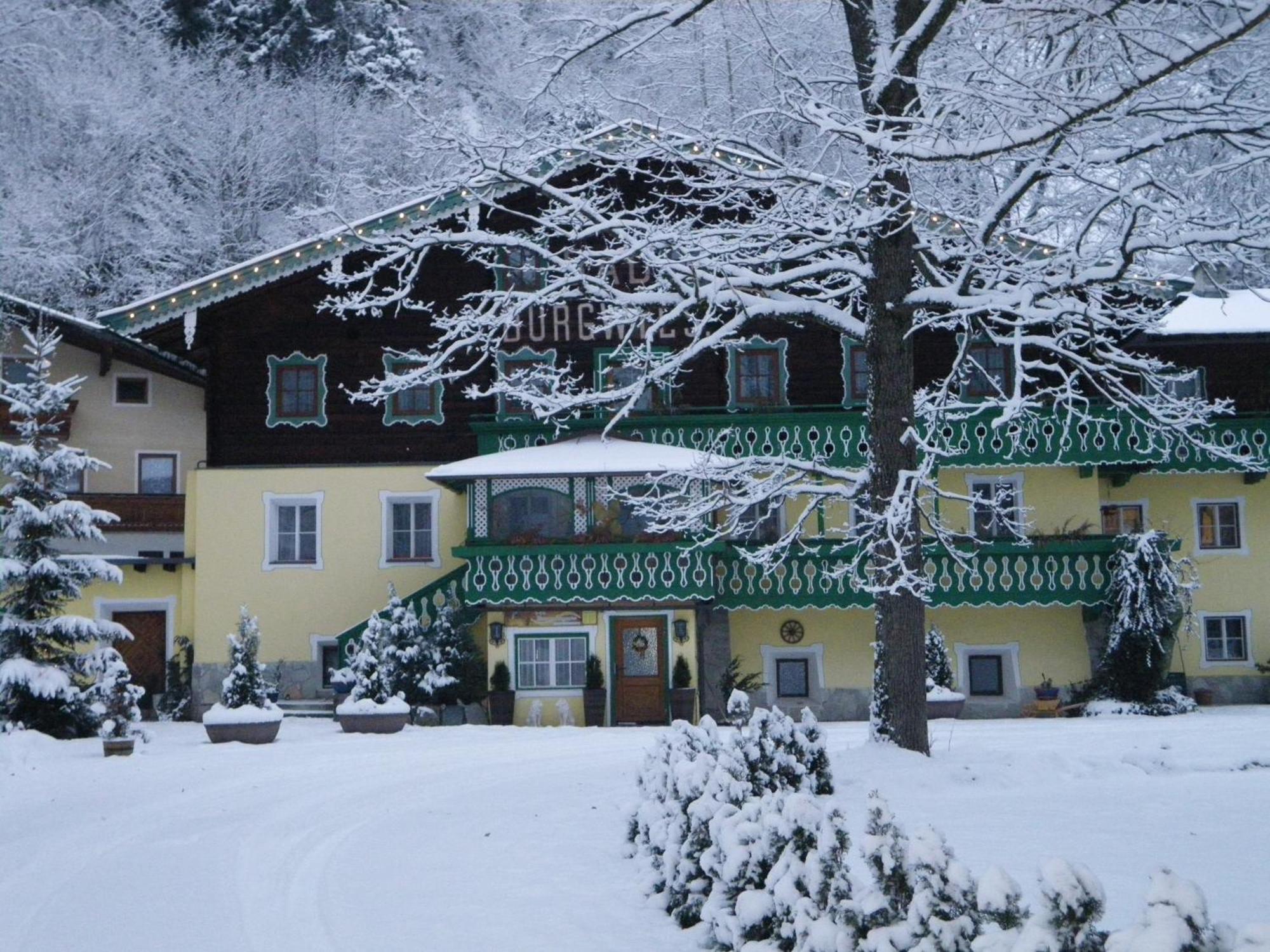 Pension Heilbad Burgwies Stuhlfelden Buitenkant foto